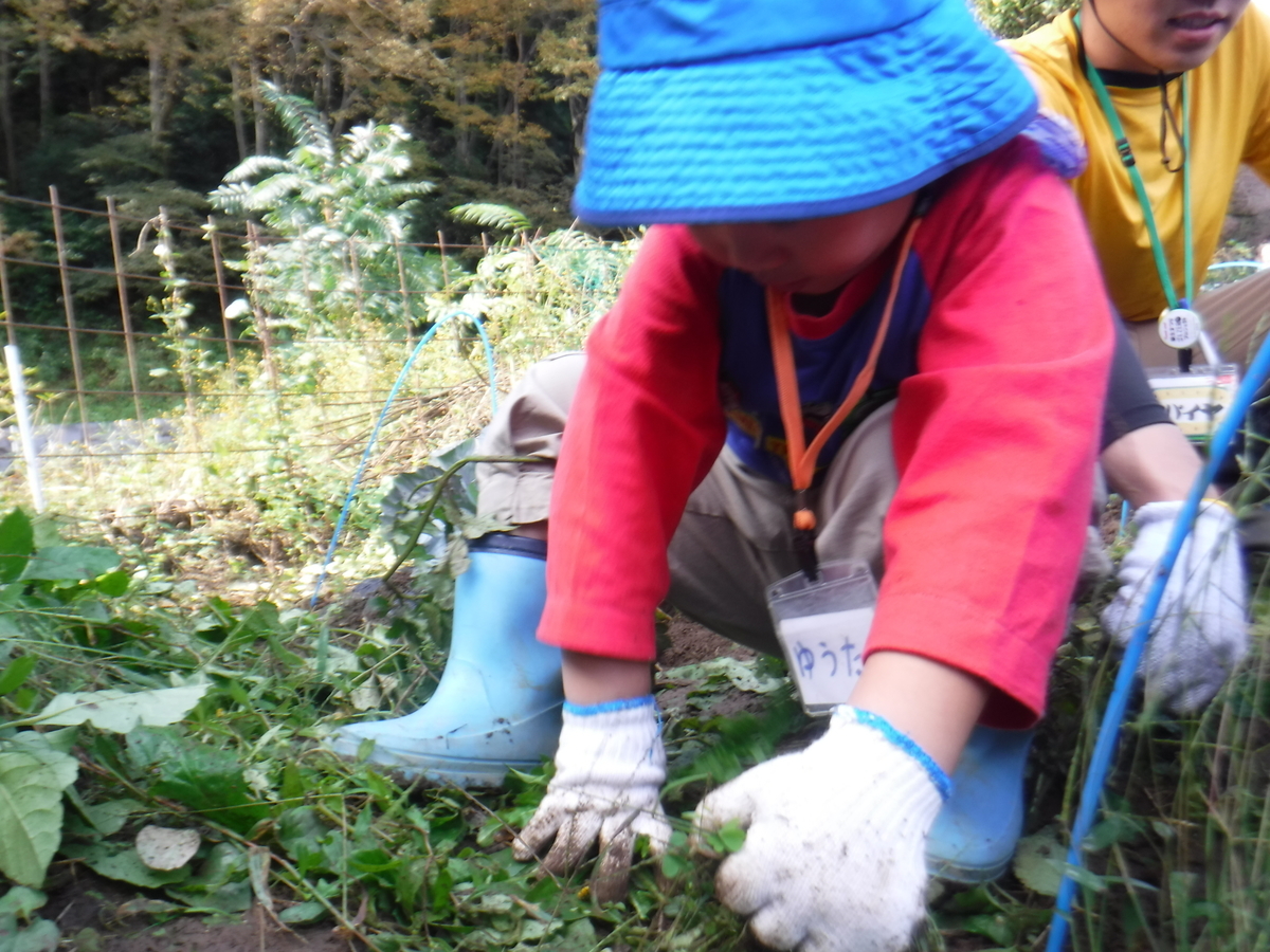 f:id:chaus:20191022114758j:plain f:id:chaus:20191022114758j:plain