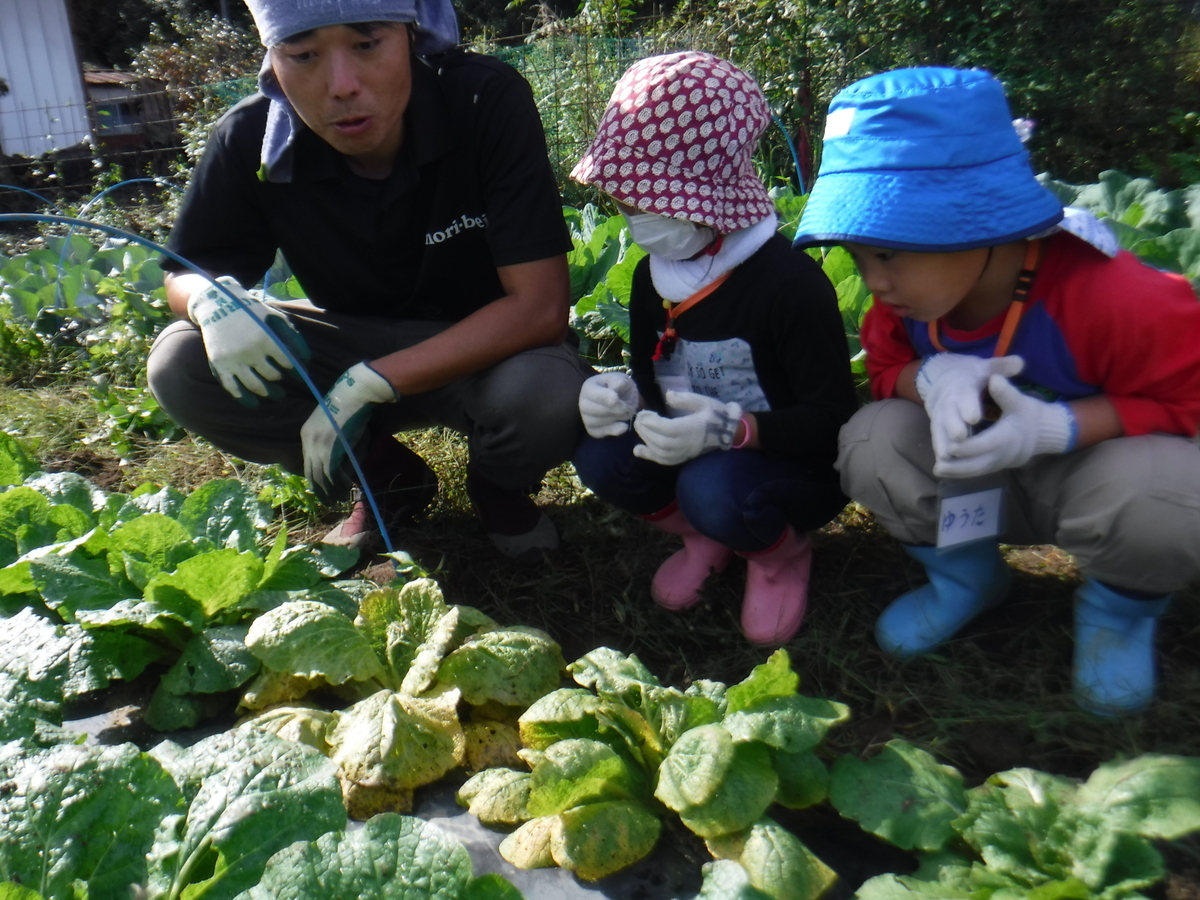 f:id:chaus:20191022114932j:plain f:id:chaus:20191022114932j:plain