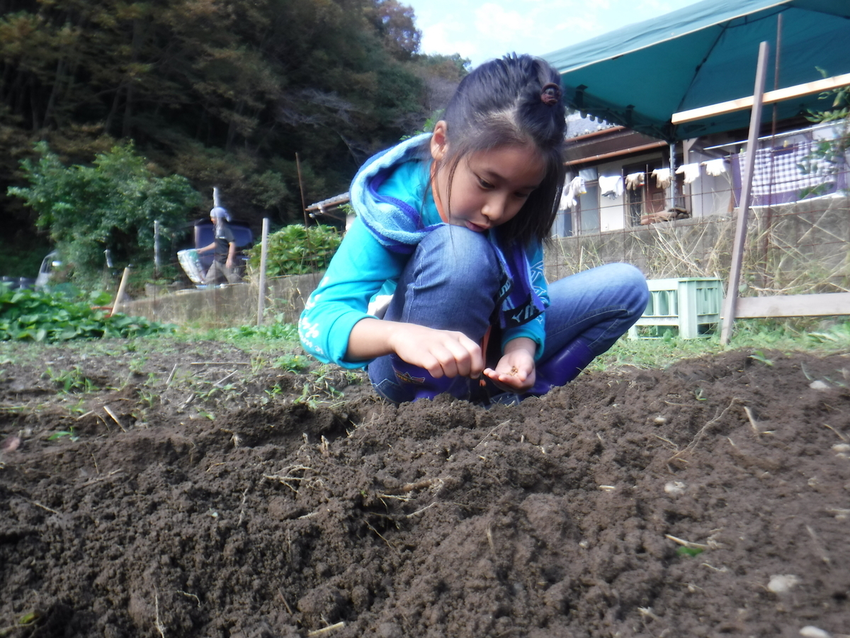 f:id:chaus:20191022115149j:plain f:id:chaus:20191022115149j:plain