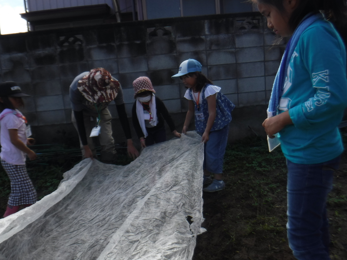 f:id:chaus:20191022115316j:plain f:id:chaus:20191022115316j:plain