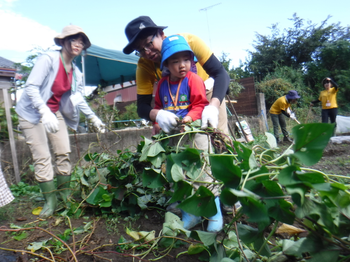 f:id:chaus:20191022115417j:plain f:id:chaus:20191022115417j:plain