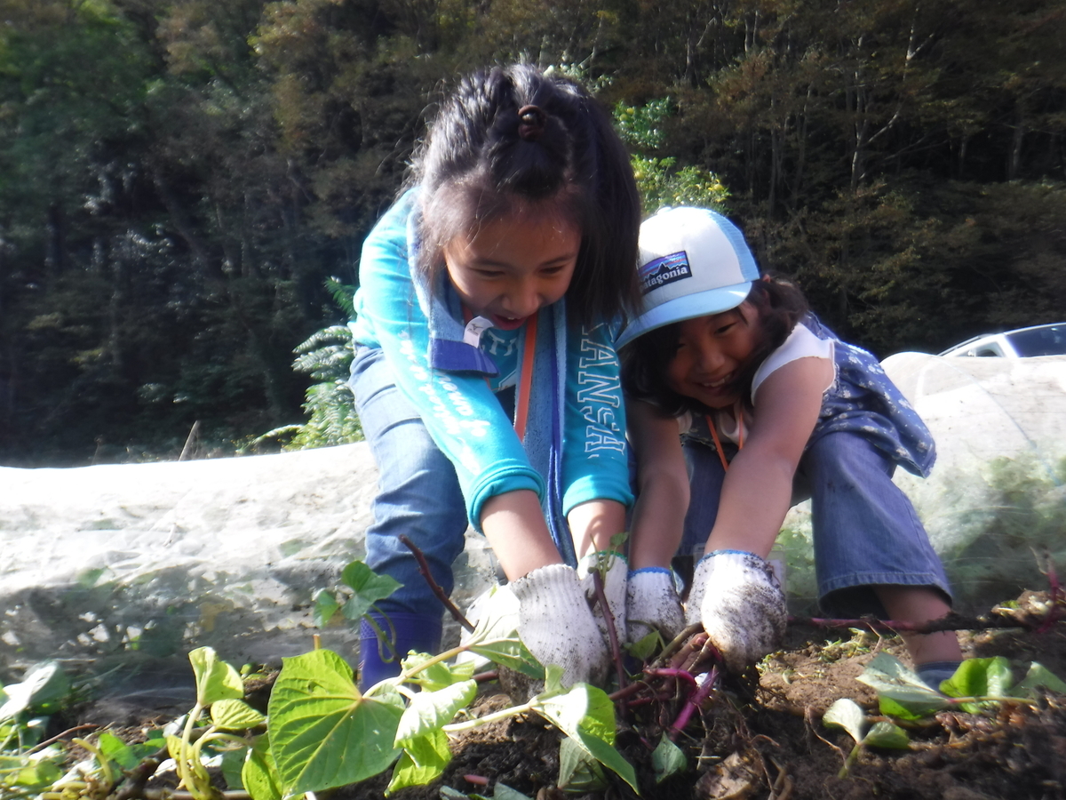 f:id:chaus:20191022115548j:plain f:id:chaus:20191022115548j:plain