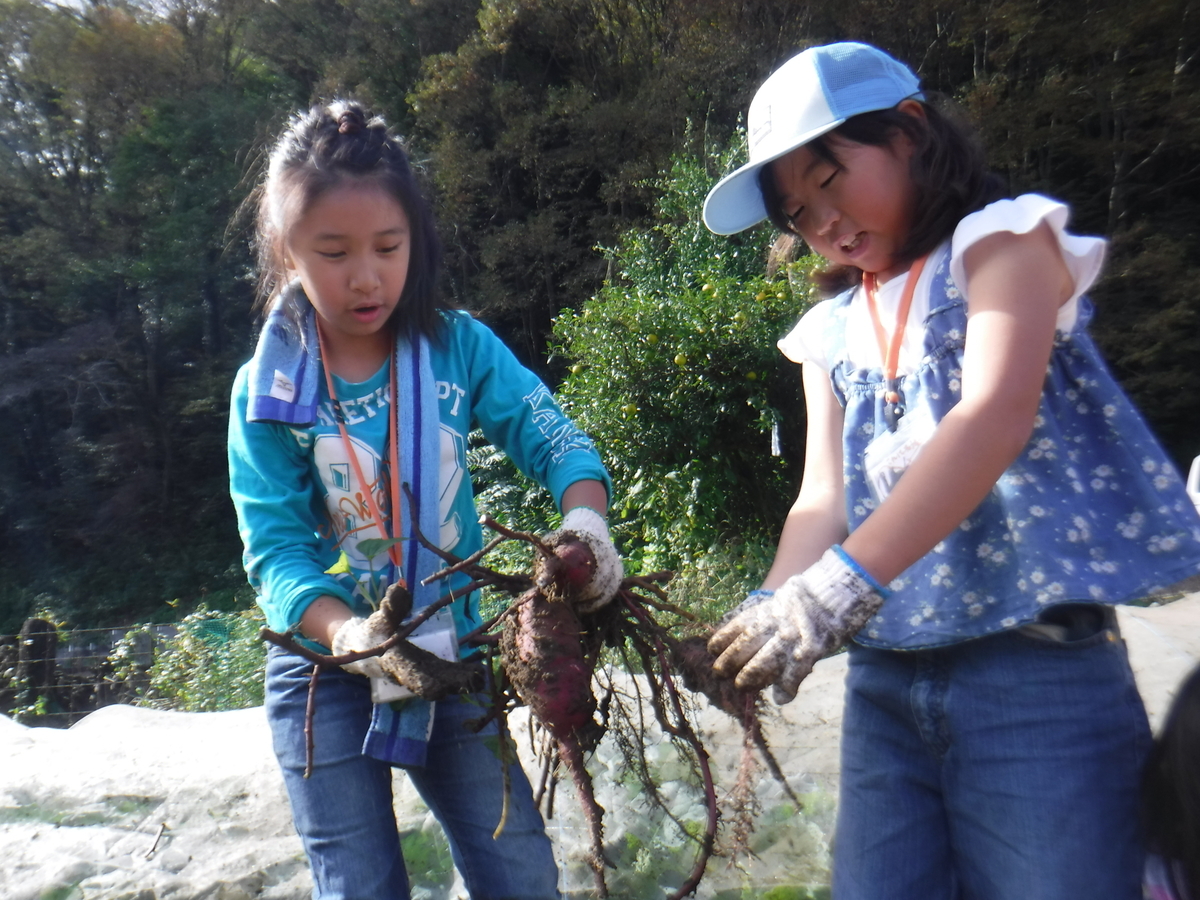 f:id:chaus:20191022115620j:plain f:id:chaus:20191022115620j:plain