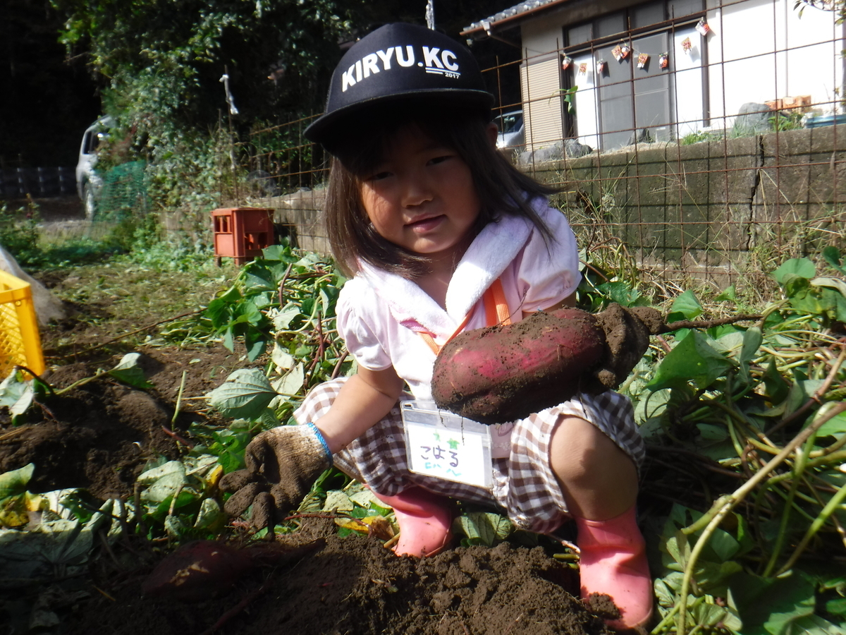 f:id:chaus:20191022115738j:plain f:id:chaus:20191022115738j:plain