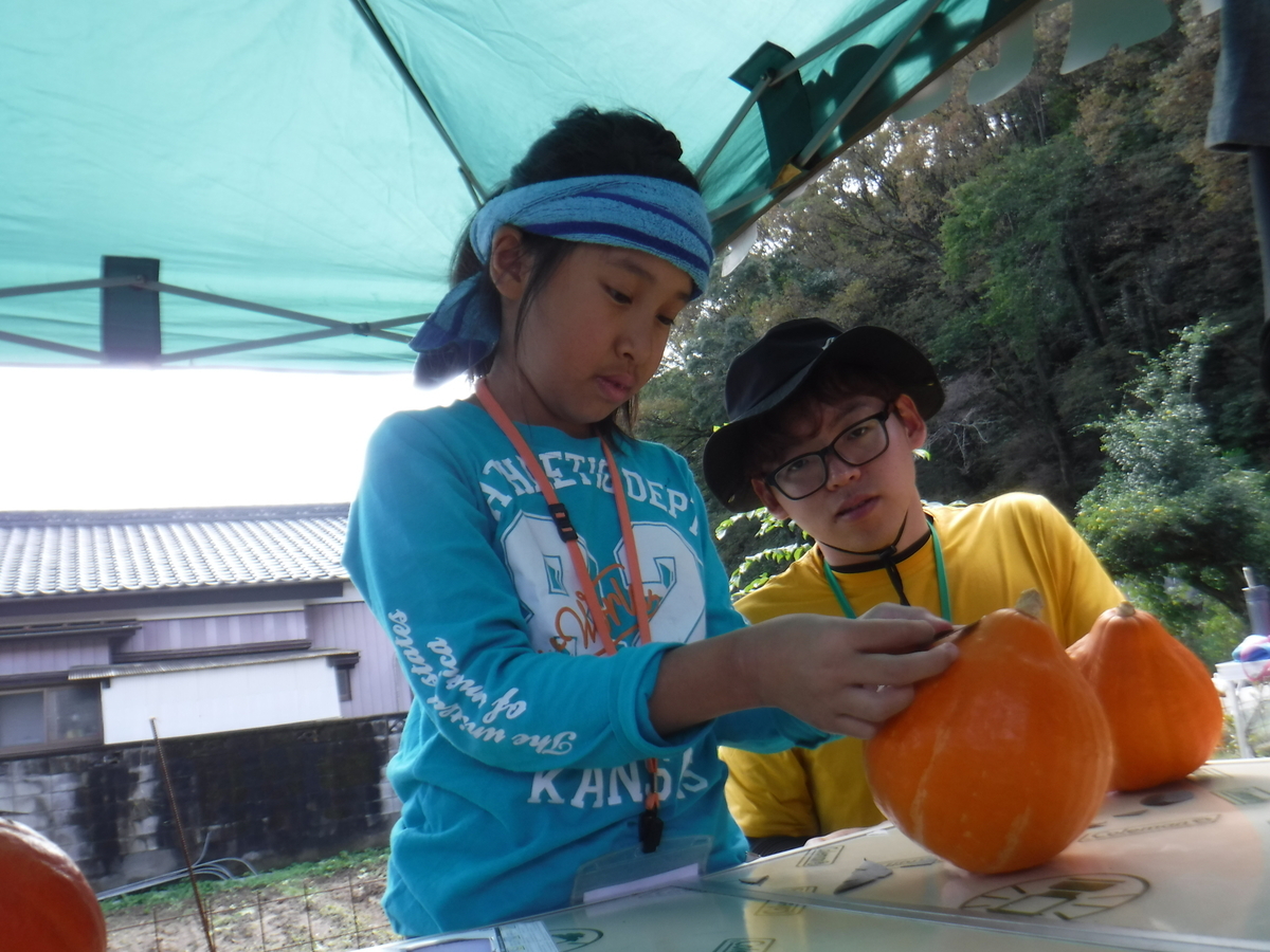 f:id:chaus:20191022120148j:plain f:id:chaus:20191022120148j:plain