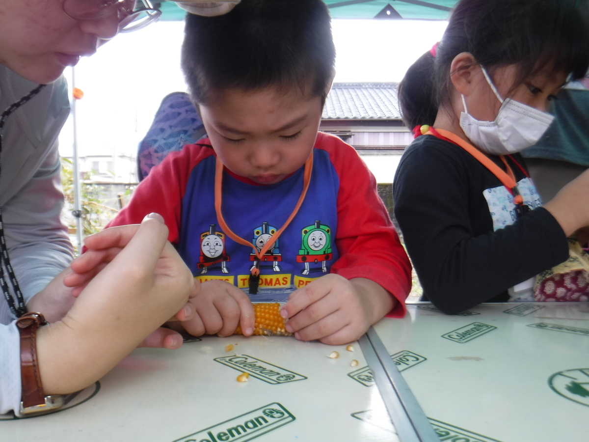 f:id:chaus:20191022121123j:plain f:id:chaus:20191022121123j:plain