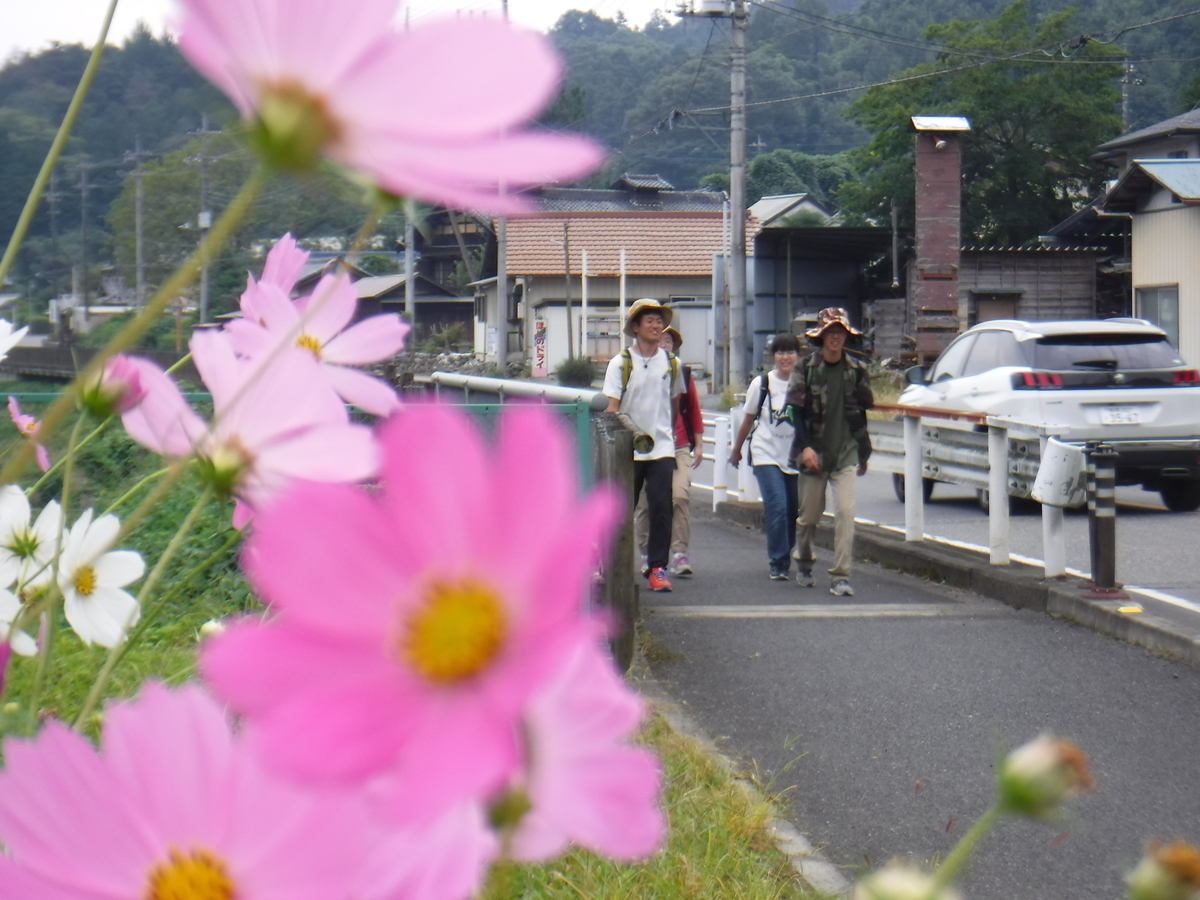 f:id:chaus:20191029152532j:plain