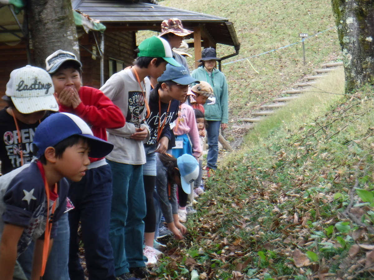 f:id:chaus:20191111222612j:plain f:id:chaus:20191111222612j:plain