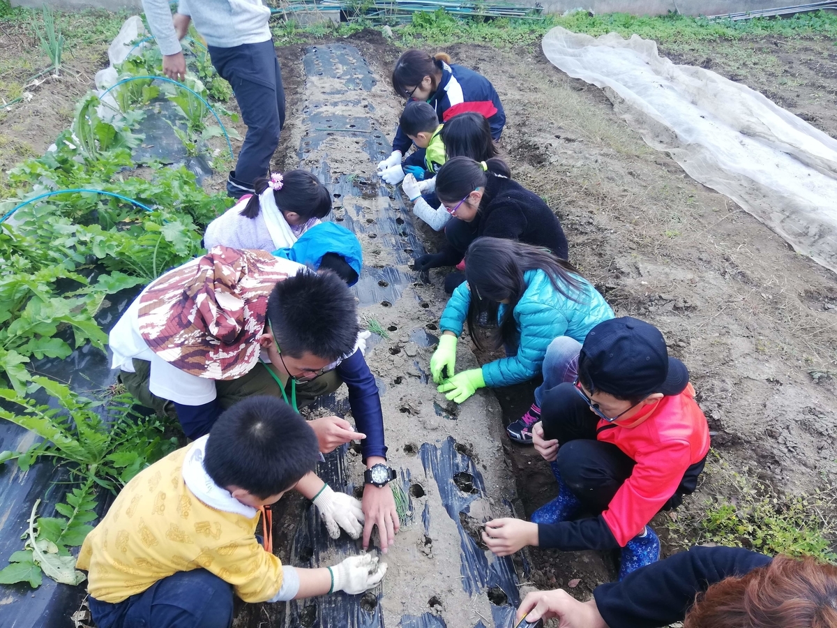 f:id:chaus:20191121171138j:plain