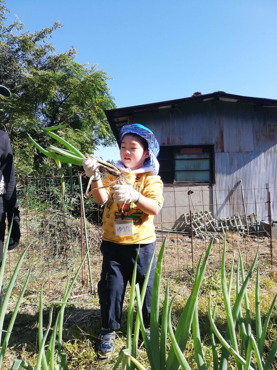 f:id:chaus:20191121171148j:plain