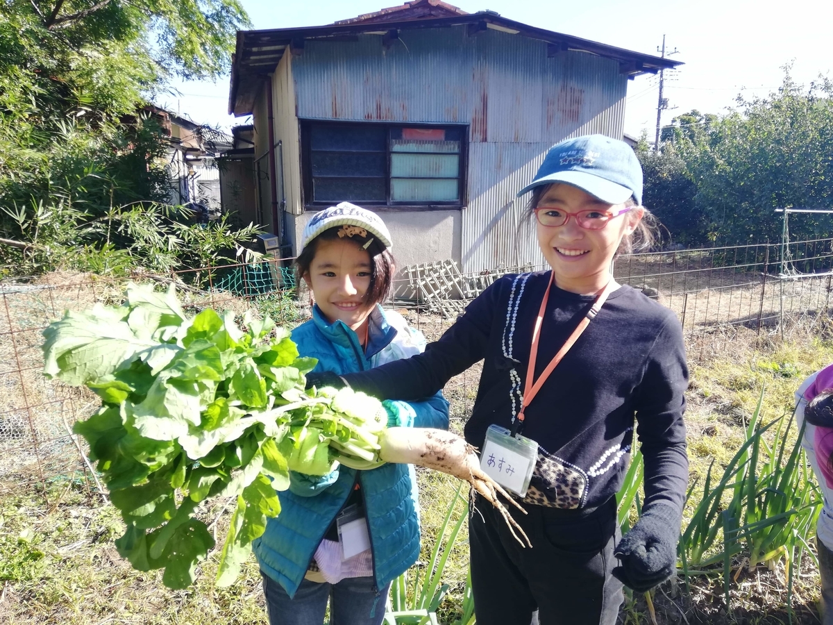 f:id:chaus:20191121171200j:plain