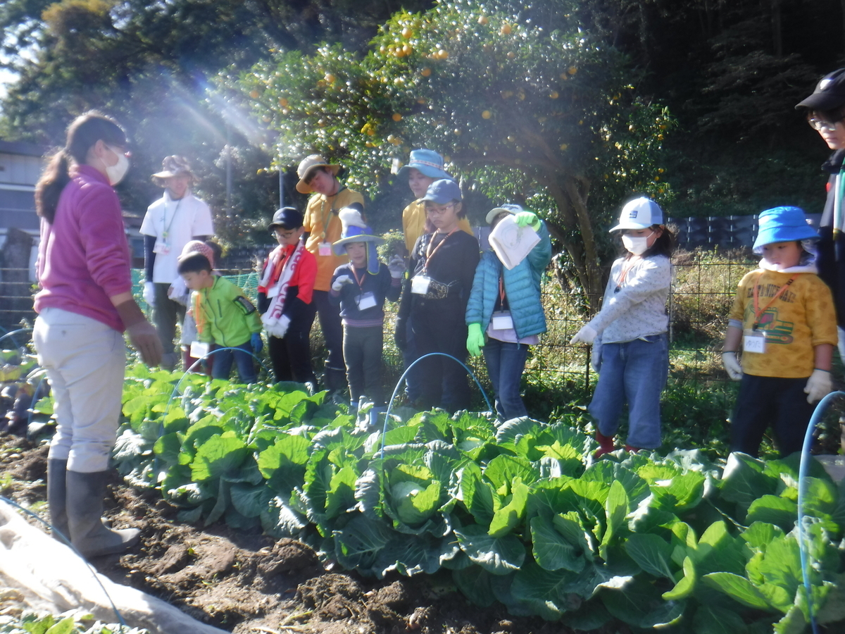 f:id:chaus:20191121171220j:plain