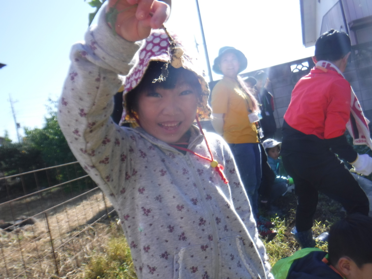 f:id:chaus:20191121171227j:plain