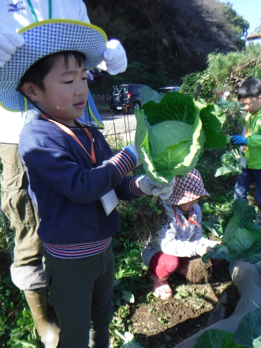 f:id:chaus:20191121171245j:plain