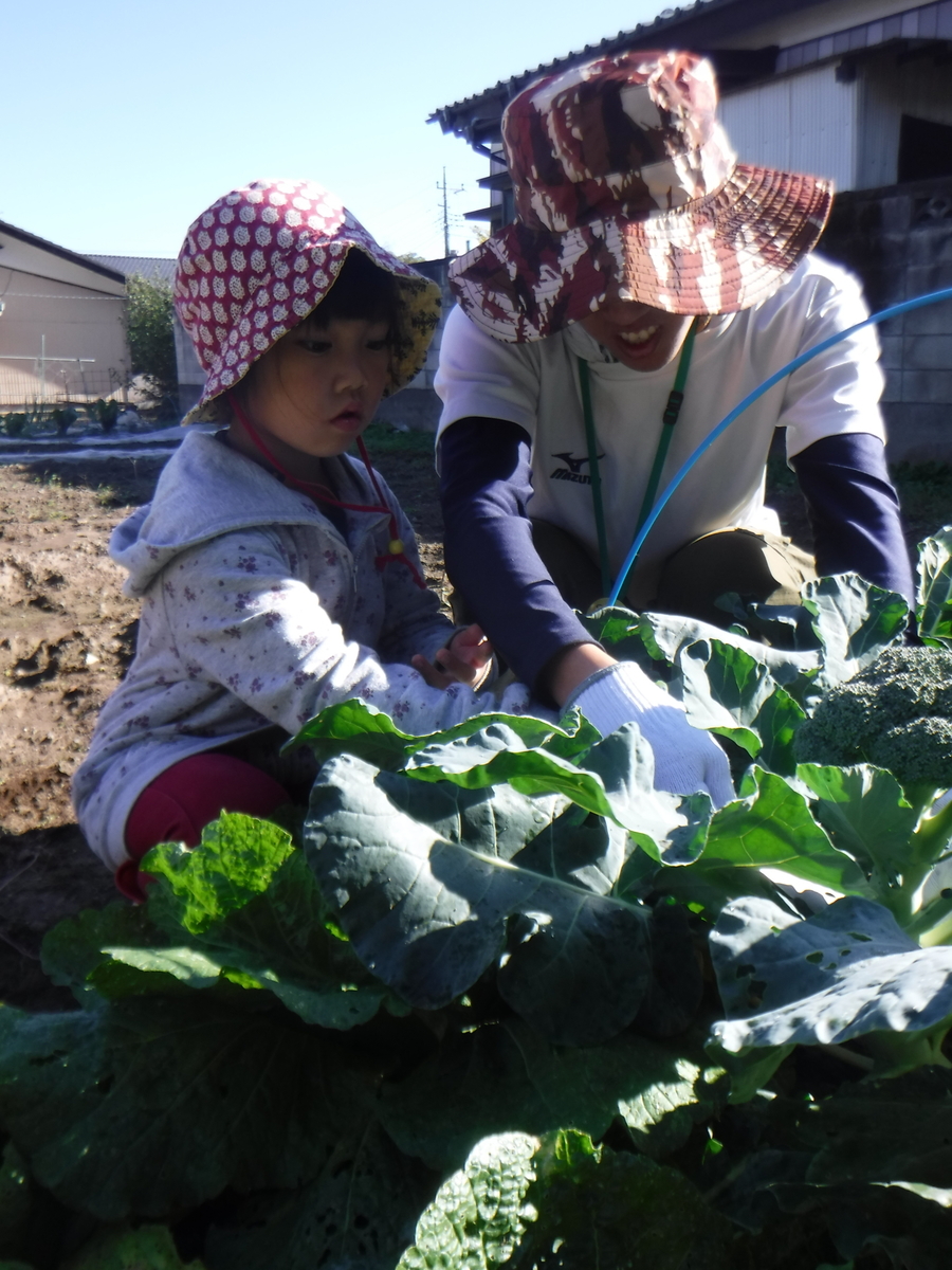 f:id:chaus:20191121171253j:plain