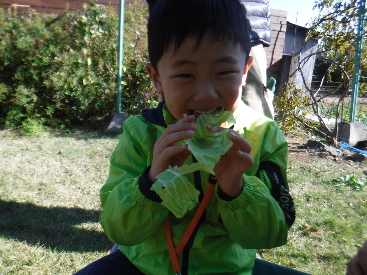 f:id:chaus:20191121171310j:plain