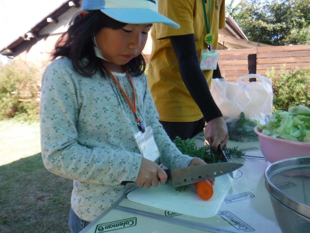 f:id:chaus:20191121171325j:plain