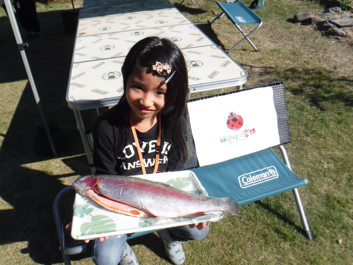 f:id:chaus:20191121171333j:plain