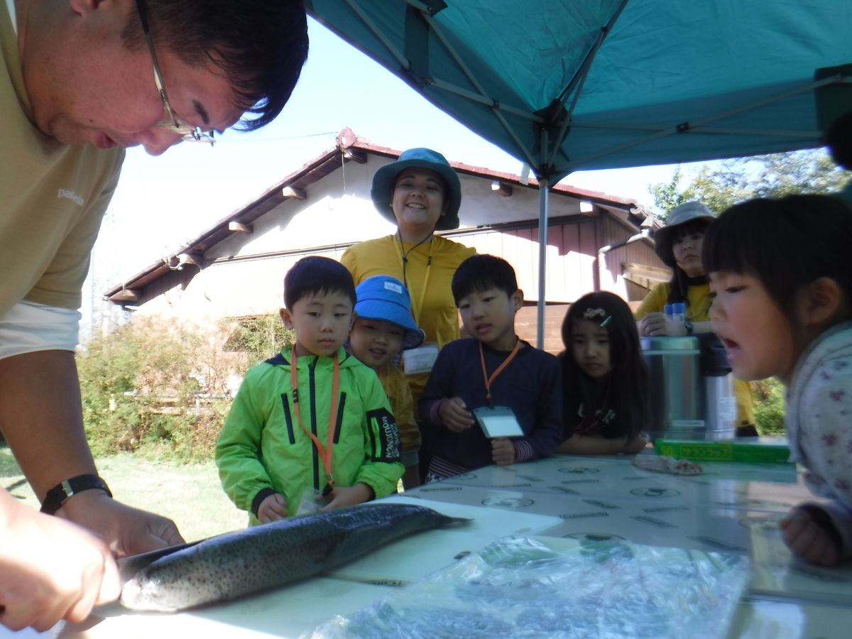 f:id:chaus:20191121171357j:plain