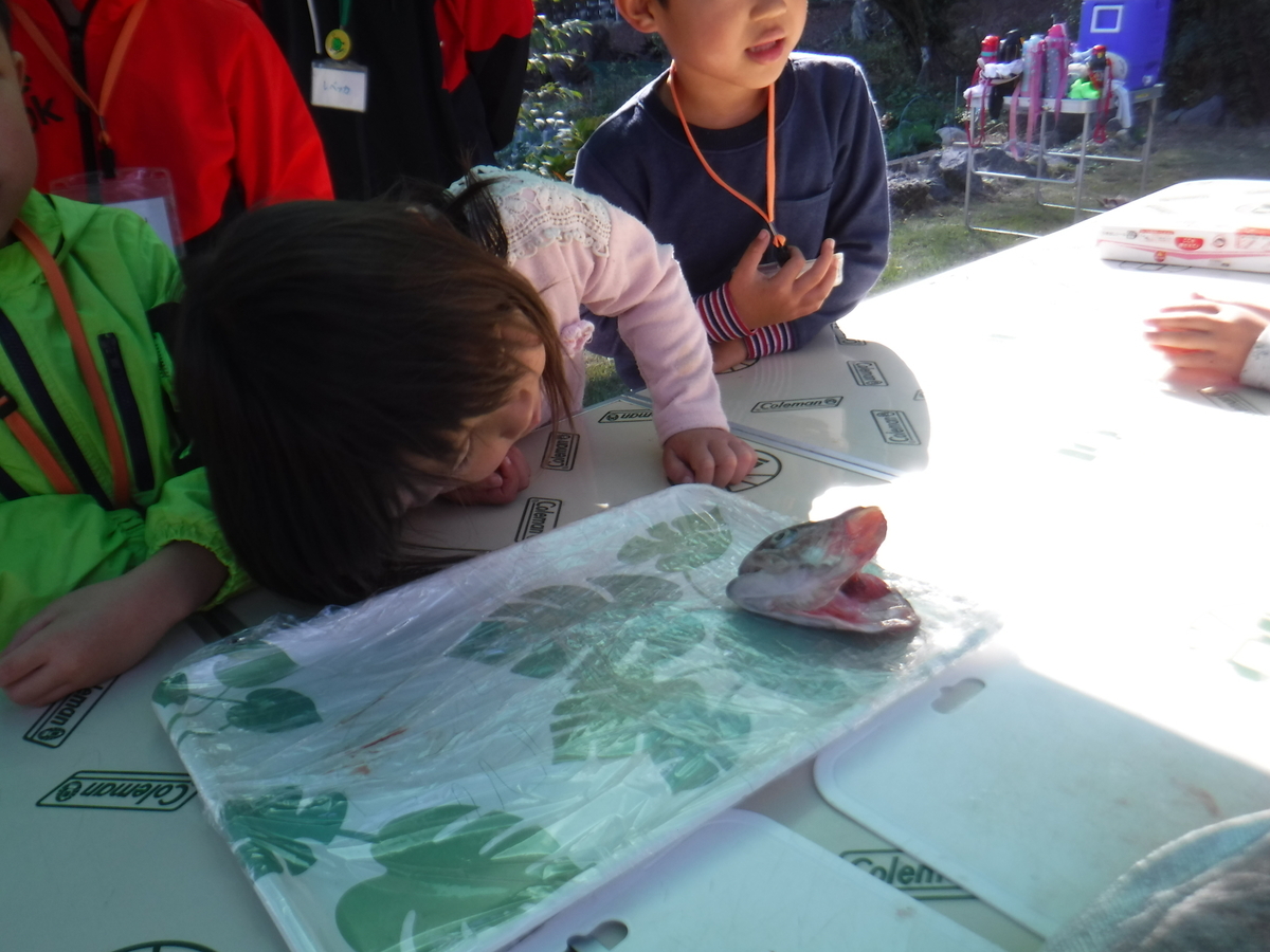 f:id:chaus:20191121171407j:plain