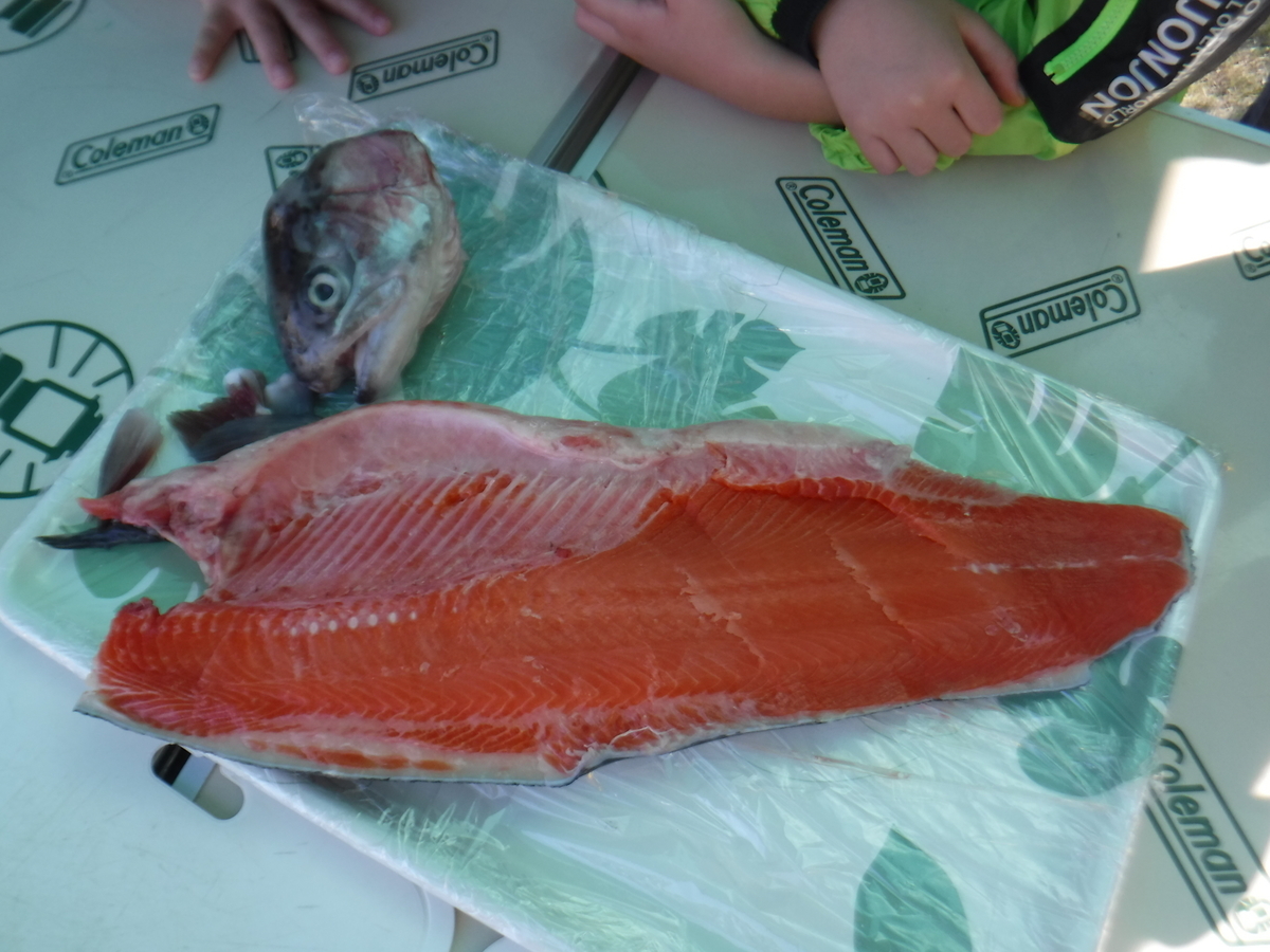 f:id:chaus:20191121171416j:plain