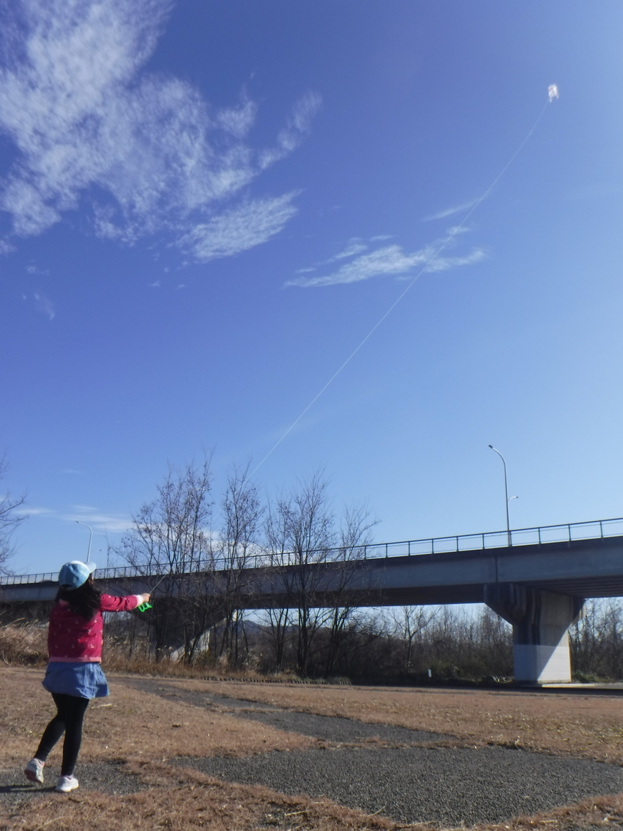 f:id:chaus:20200110145754j:plain