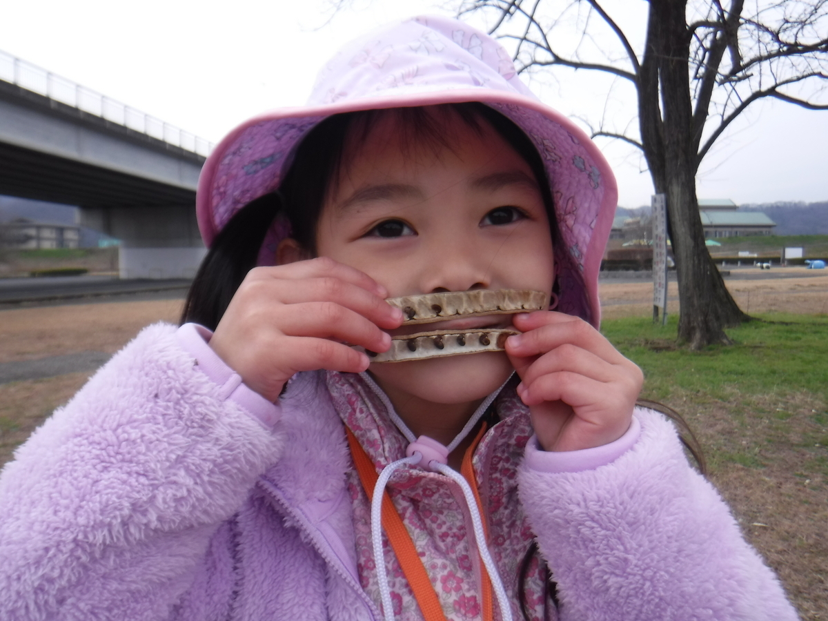 f:id:chaus:20200110145932j:plain