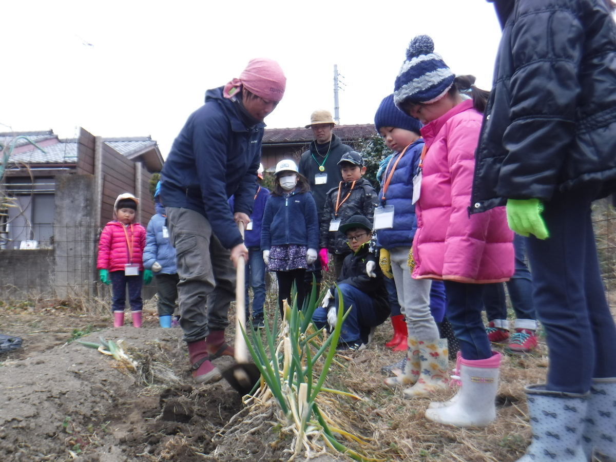 f:id:chaus:20200128180045j:plain f:id:chaus:20200128180045j:plain