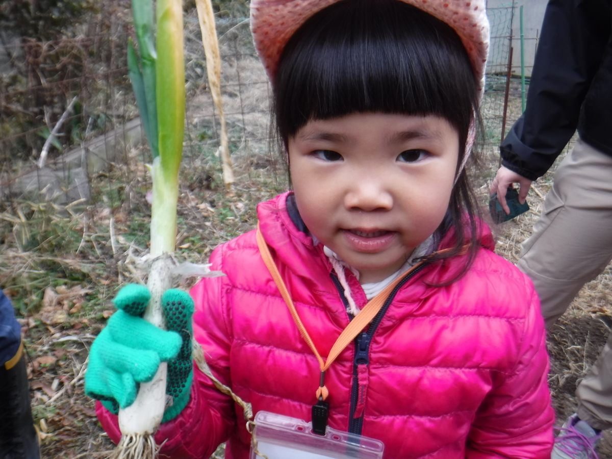 f:id:chaus:20200128180220j:plain f:id:chaus:20200128180220j:plain