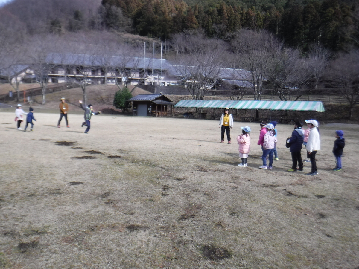 f:id:chaus:20200203151924j:plain