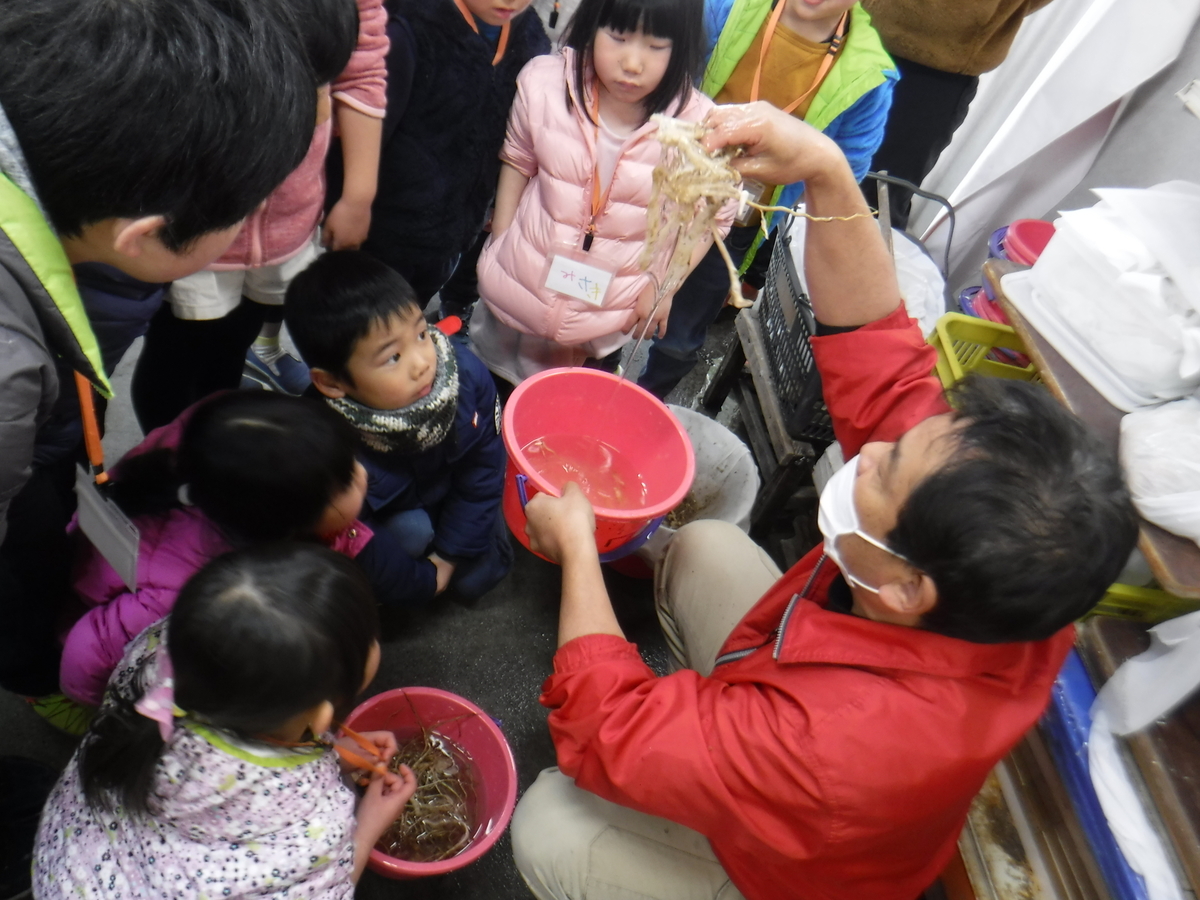 f:id:chaus:20200203153647j:plain