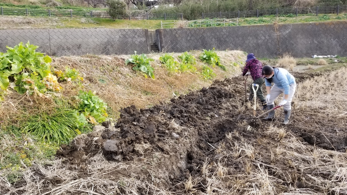 f:id:chaus:20200216025613j:plain f:id:chaus:20200216025613j:plain