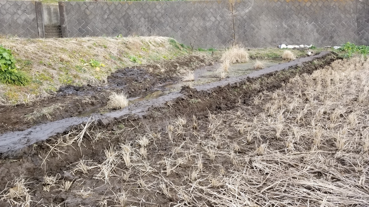 f:id:chaus:20200216030913j:plain f:id:chaus:20200216030913j:plain