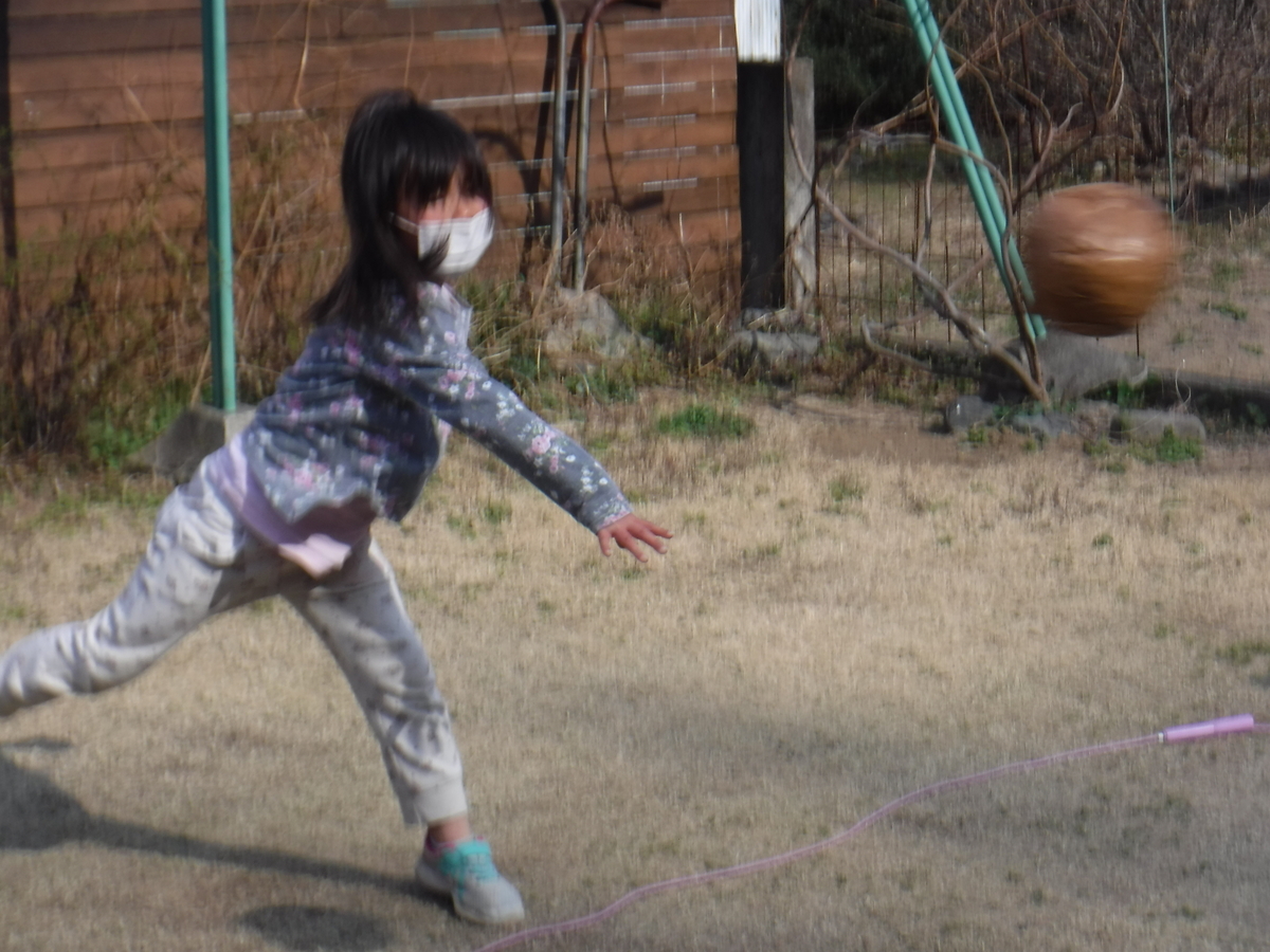 f:id:chaus:20200307140044j:plain f:id:chaus:20200307140044j:plain