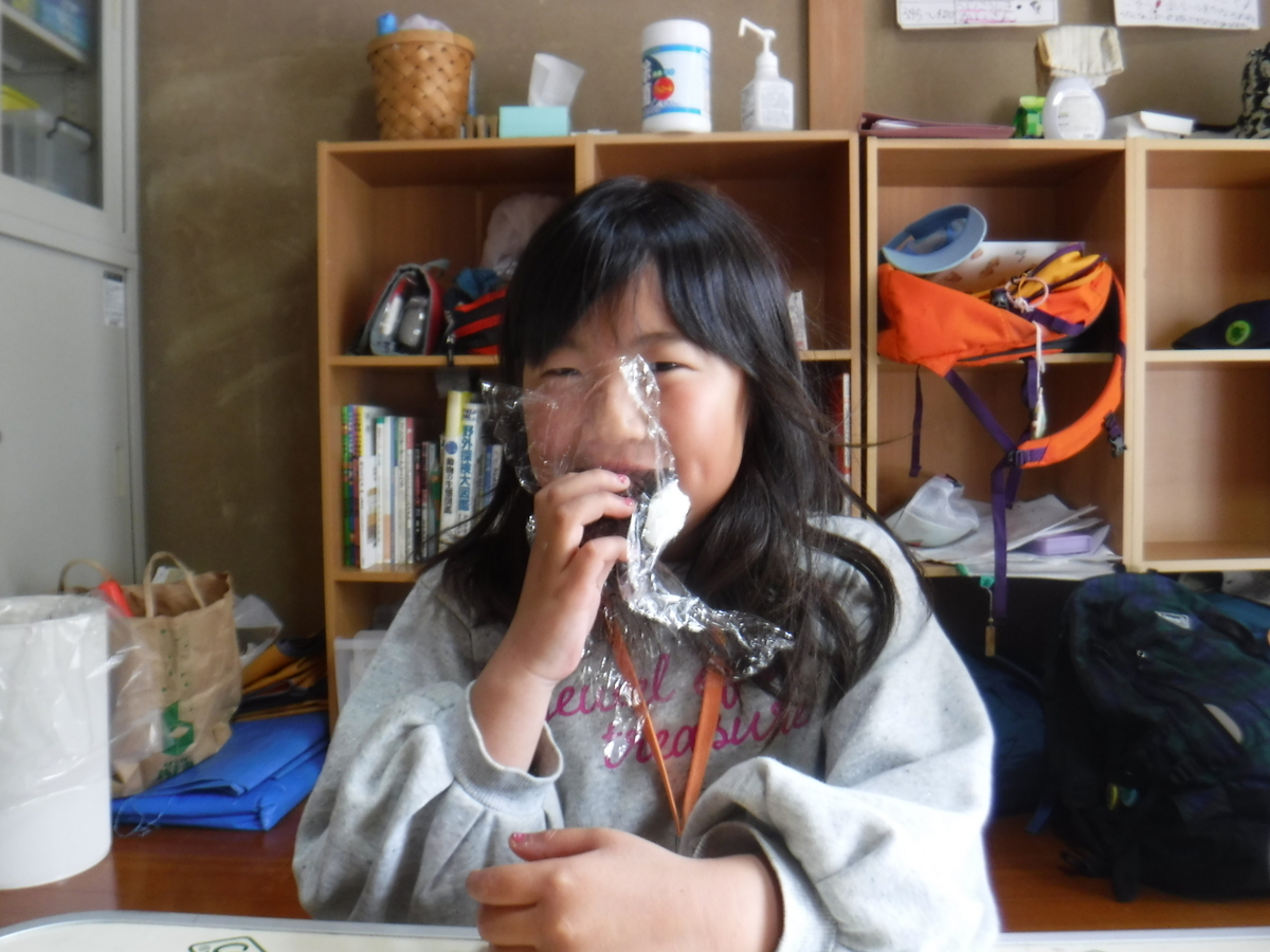 f:id:chaus:20200430092929j:plain f:id:chaus:20200430092929j:plain