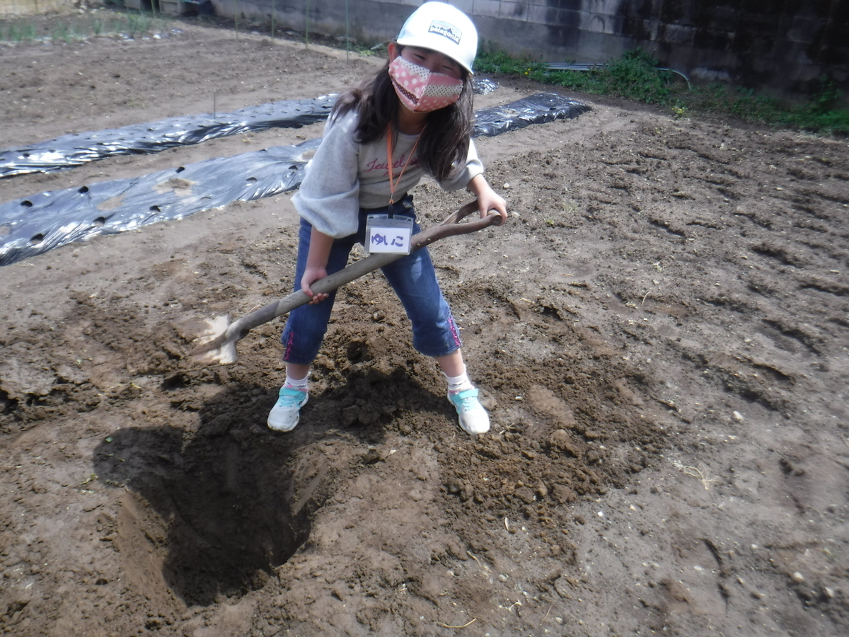 f:id:chaus:20200430101329j:plain f:id:chaus:20200430101329j:plain