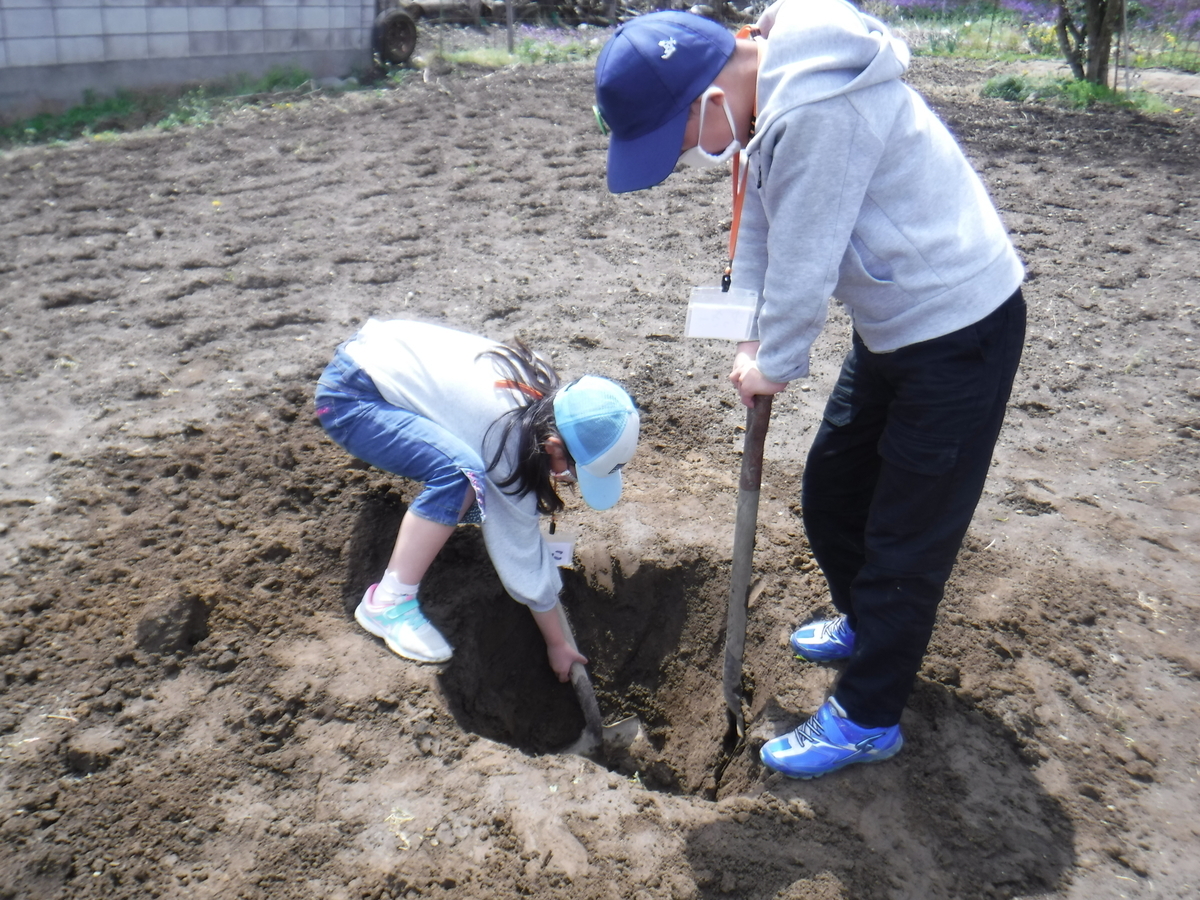 f:id:chaus:20200430101337j:plain f:id:chaus:20200430101337j:plain