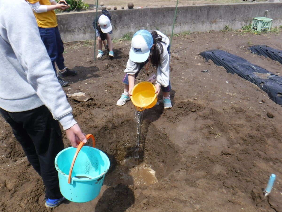 f:id:chaus:20200430101346j:plain f:id:chaus:20200430101346j:plain