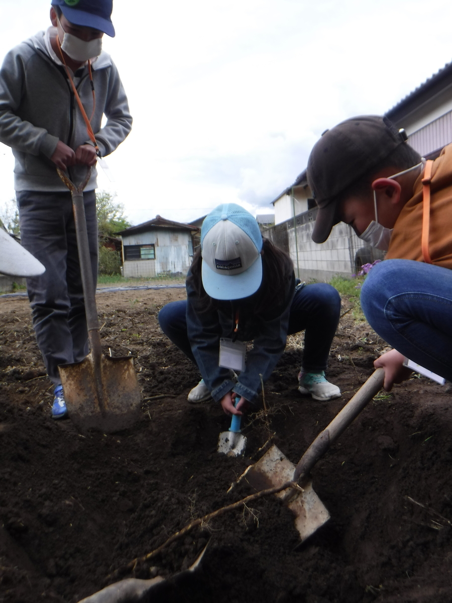 f:id:chaus:20200430101614j:plain f:id:chaus:20200430101614j:plain