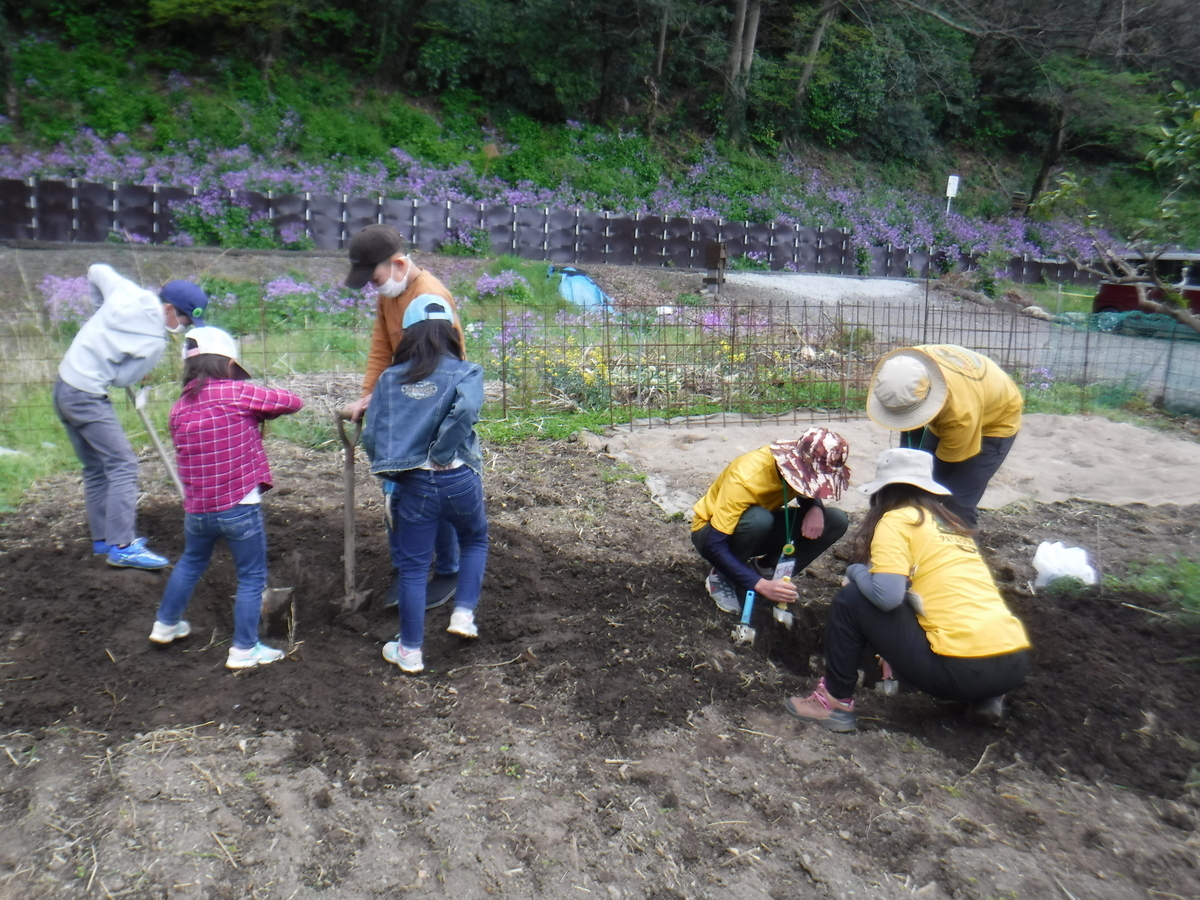 f:id:chaus:20200430101624j:plain f:id:chaus:20200430101624j:plain