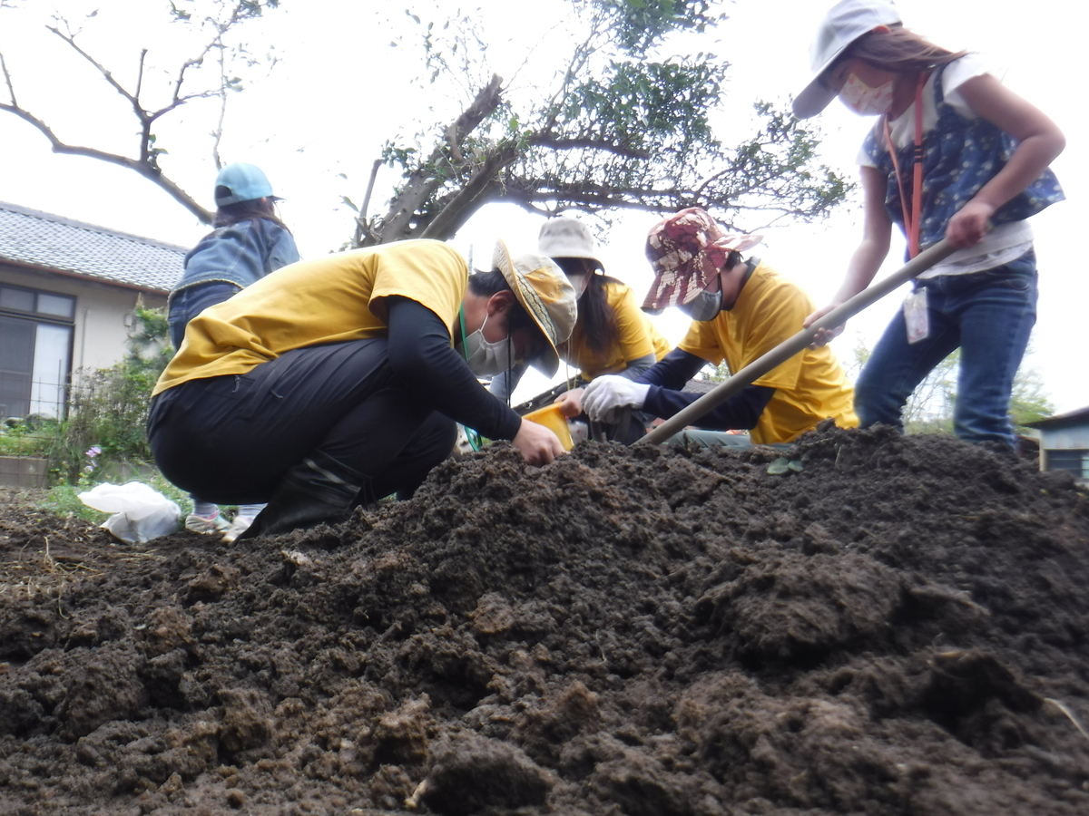 f:id:chaus:20200430101633j:plain f:id:chaus:20200430101633j:plain