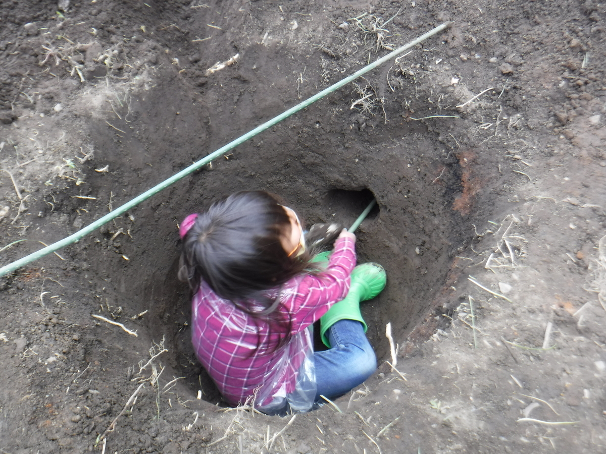 f:id:chaus:20200430101944j:plain f:id:chaus:20200430101944j:plain