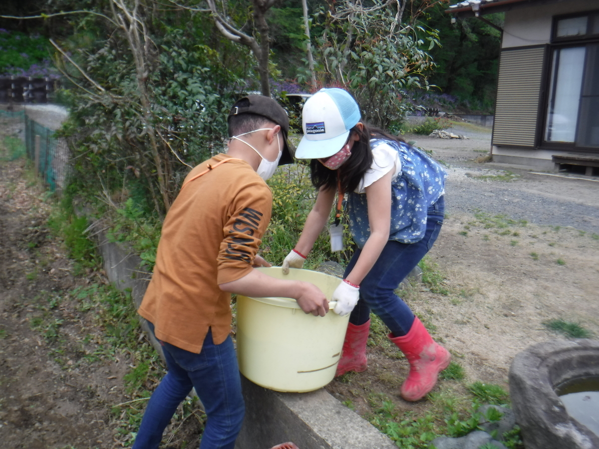 f:id:chaus:20200430101953j:plain f:id:chaus:20200430101953j:plain