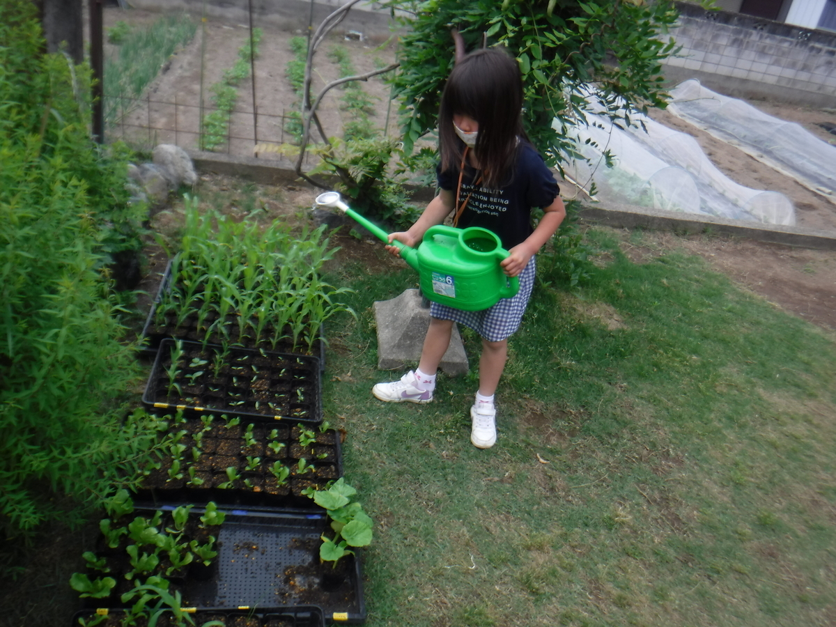 f:id:chaus:20200524142821j:plain