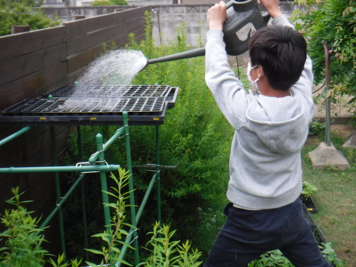 f:id:chaus:20200524143059j:plain