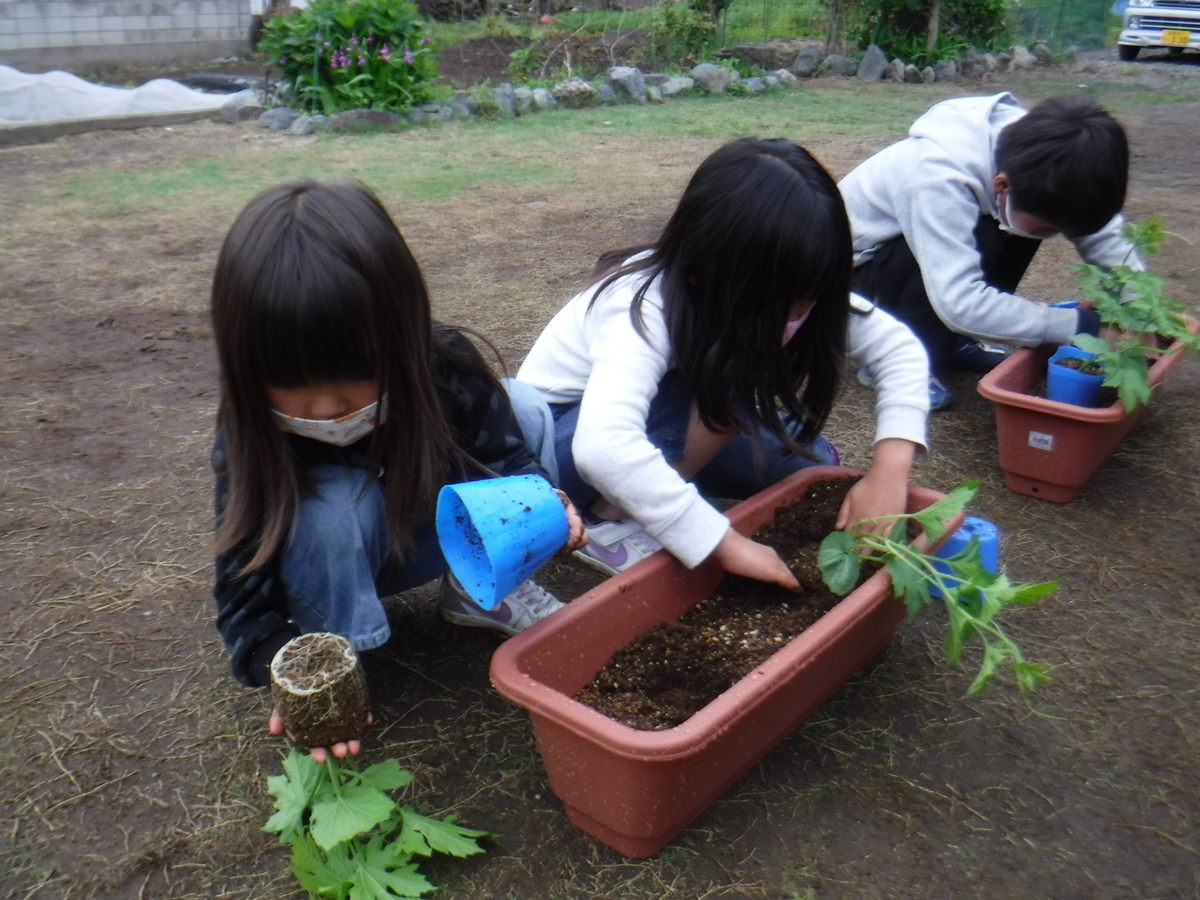 f:id:chaus:20200524143438j:plain