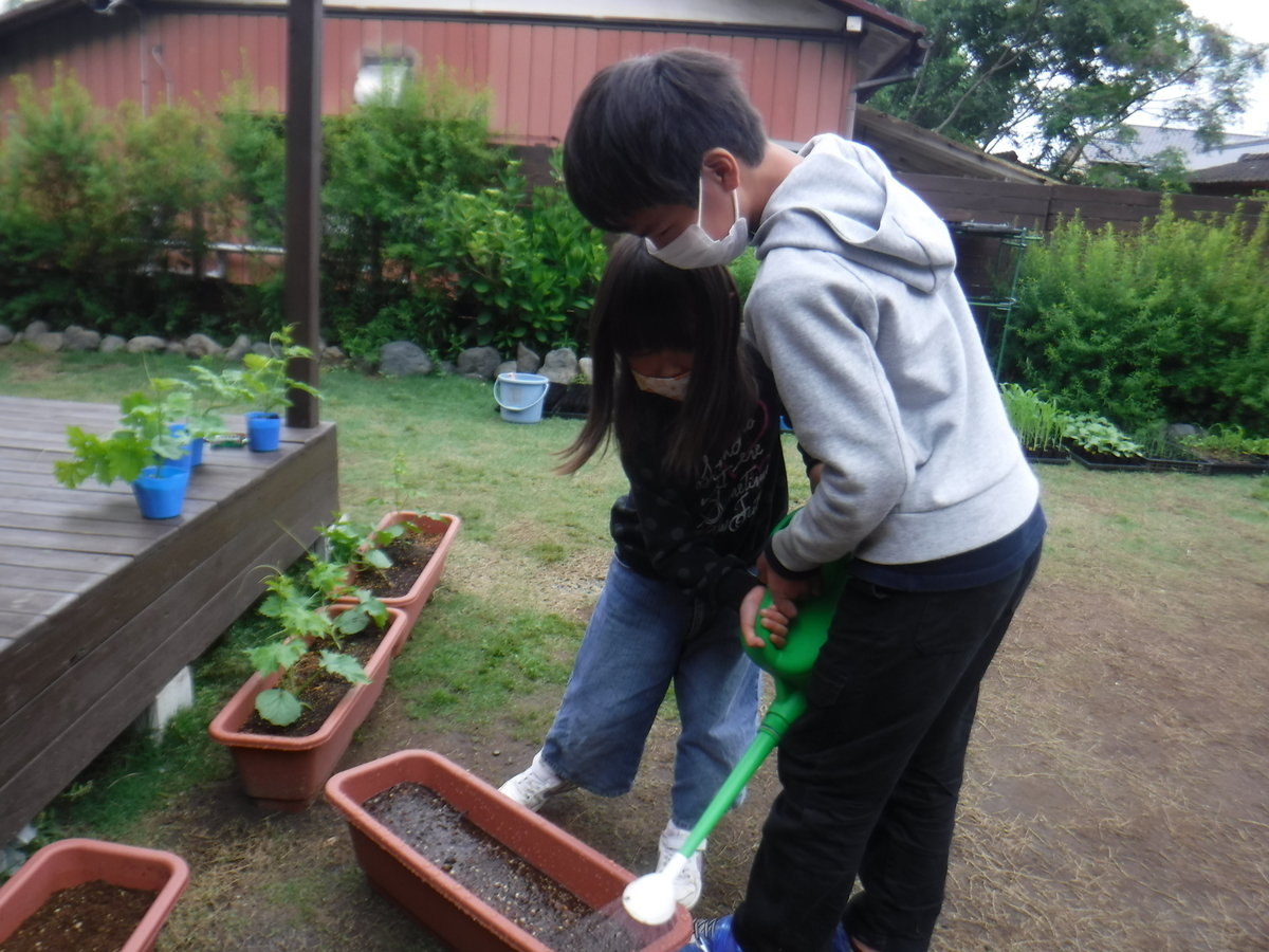 f:id:chaus:20200524143620j:plain