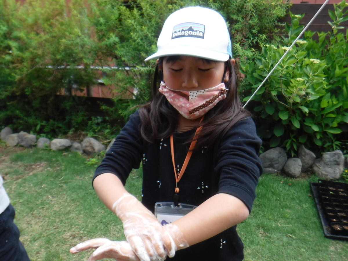 f:id:chaus:20200524144734j:plain