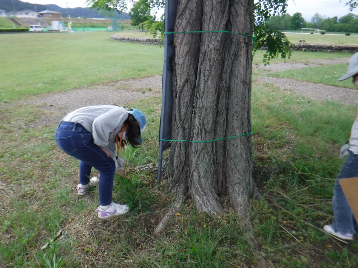 f:id:chaus:20200524150847j:plain