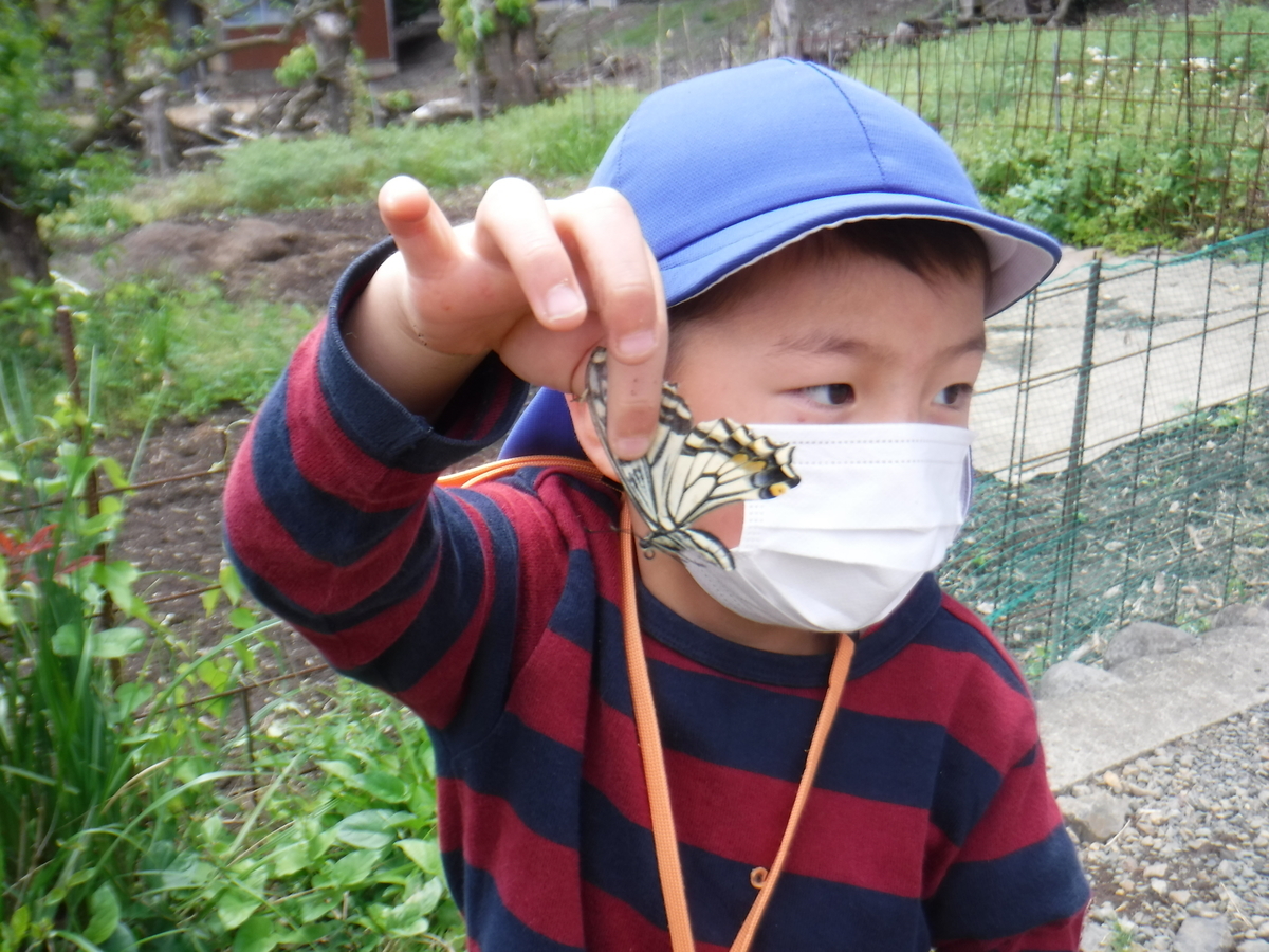 f:id:chaus:20200524151320j:plain